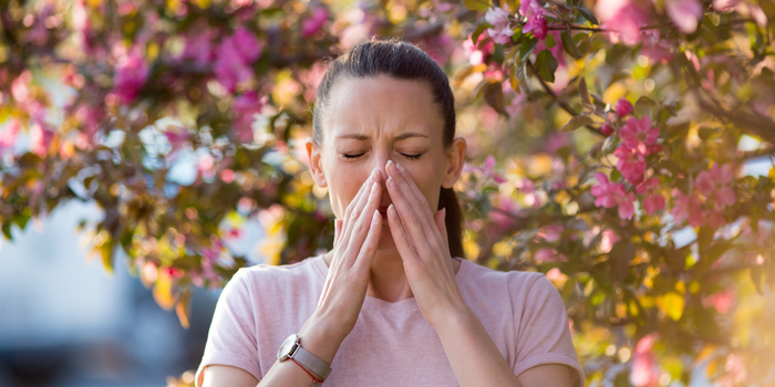 Remedial Massage and Acupressure for Hay Fever